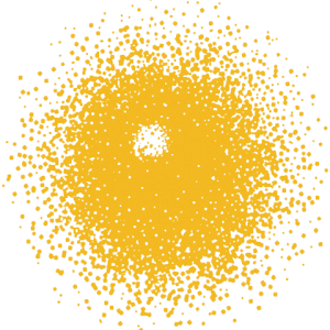 sunburst logo